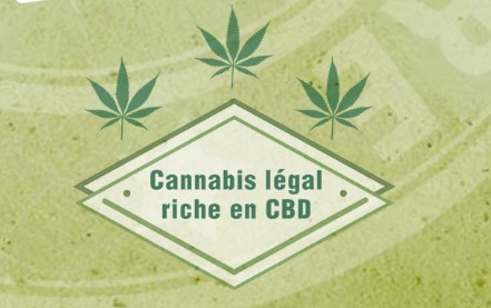 CBD Cannabis légal sans THC en Suisse