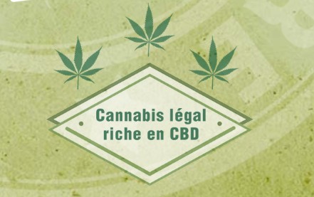 Détails : CBD Cannabis légal sans THC en Suisse