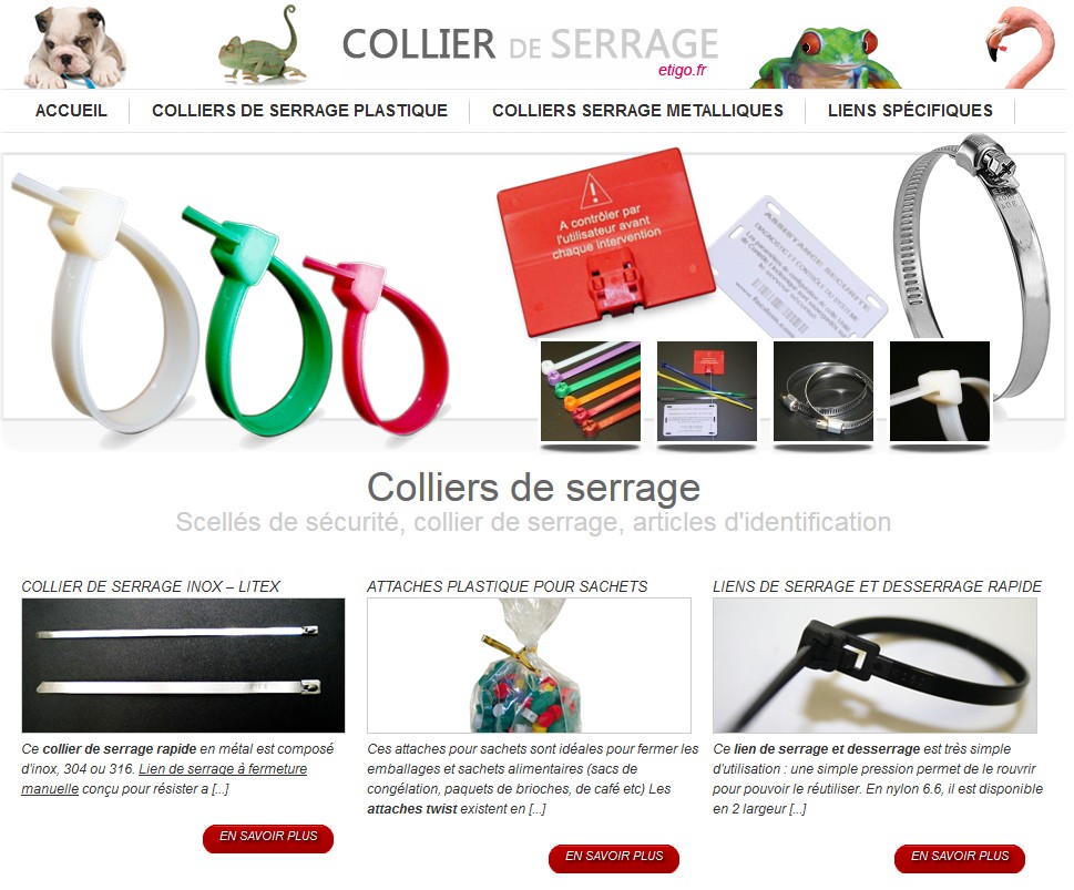 Détails : Collier de serrage